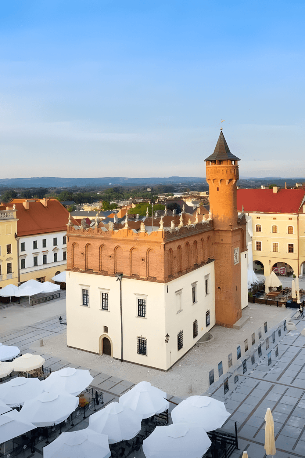 tarnow1